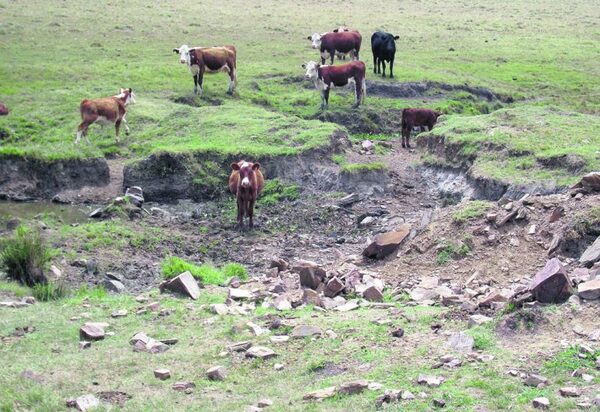 Uruguay decreta Emergencia Agropecuaria por déficit hídrico
