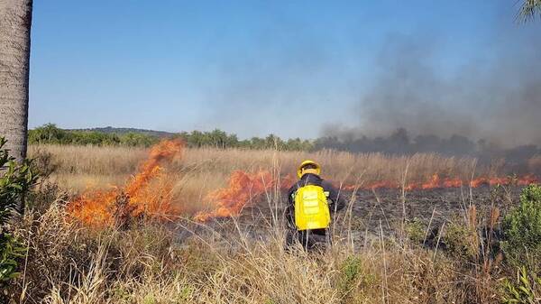 Crónica / Infierno terrenal: “Aguantamos los 70 grados de calor”, asegura bombero