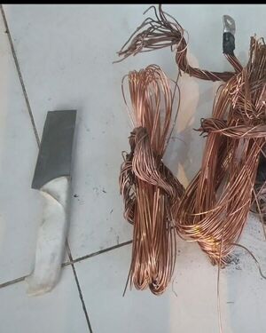 Sorprenden a un hombre robando cable de cobre en la Costanera Norte - Nacionales - ABC Color