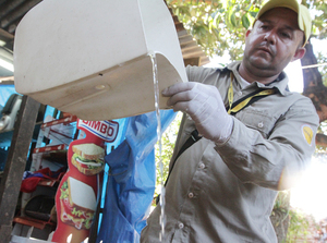 Asunción y Central concentran el 60% de las notificaciones de dengue - .::Agencia IP::.