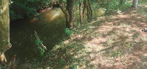 Hallan sin vida a un joven a orillas de un arroyo en Capitán Meza