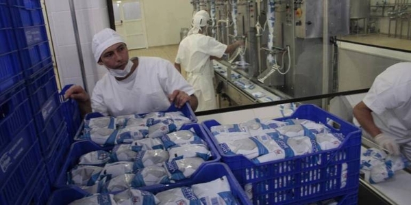 Diario HOY | Sector lácteo podría disminuir producción a raíz de la sequía