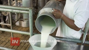 CAE PRODUCCIÓN DE LECHE A CONSECUENCIA DE LA SEQUIA - Itapúa Noticias