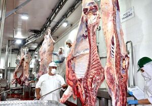 Faena de bovinos abarcó 73,4% de la capacidad industrial