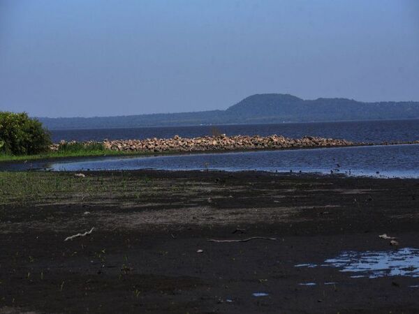 Denuncian relleno ilegal de humedales del Lago Ypacaraí - ADN Digital