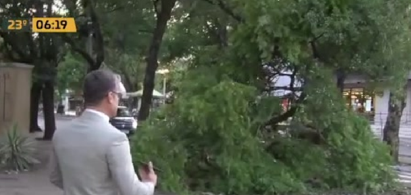 Destrozos por Asunción: El día después del temporal - C9N