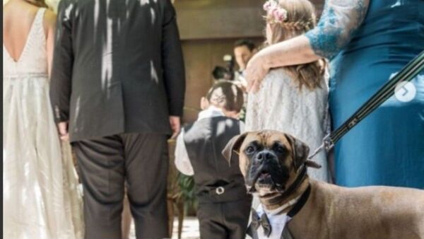 Mascota fue testigo de honor en la boda de Yolanda y Chipi