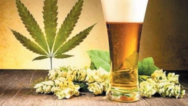 Cerveza de marihuana desató una polémica