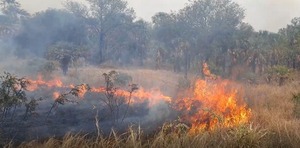Arde la inconsciencia - El Independiente
