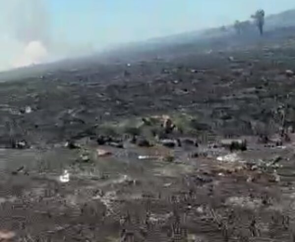 Sofocaron el incendio forestal en Villeta mientras continua ardua labor en Nueva Italia - Nacionales - ABC Color