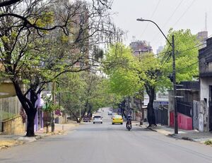MOPC aún no recuperó lo que pagó por el metrobús “fantasma” del centro - Nacionales - ABC Color