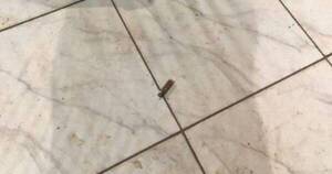 La Nación / Sicarios asesinan a balazos a 2 jóvenes en una fiesta