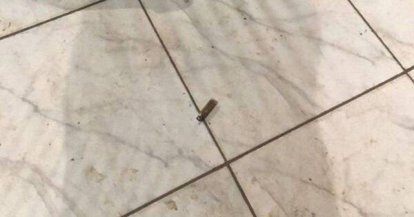 La Nación / Sicarios asesinan a balazos a 2 jóvenes en una fiesta