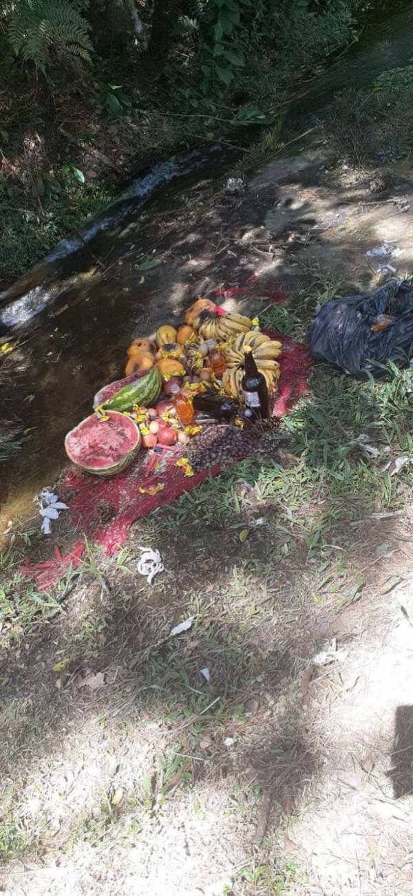 Crónica / Quiso refrescarse en un arroyo y encontró feroz ofrenda