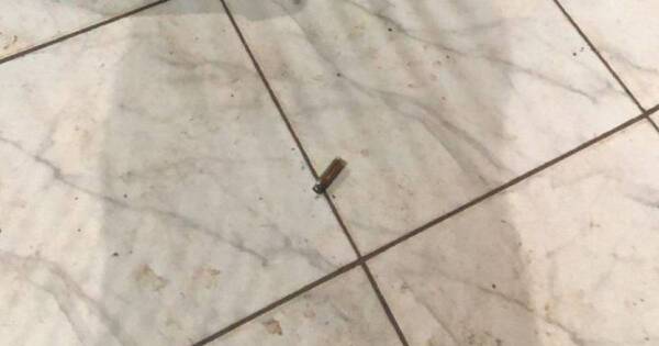 La Nación / Doble homicidio en Pedro Juan se trataría de un ajuste de cuentas
