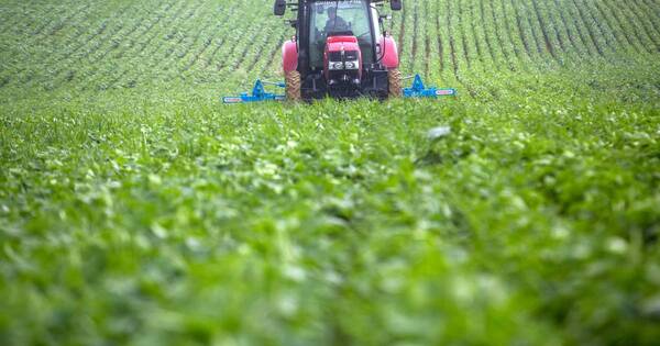 La Nación / Maquinarias agrícolas y de construcción se encarecerán 20% durante este año