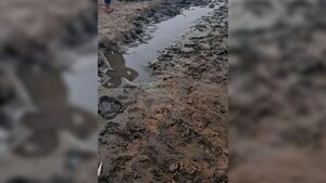 Pirañas le comieron la cara a dos ahogados en Villa Florida