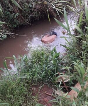Anciano fue a buscar agua de arroyo y terminó muerto