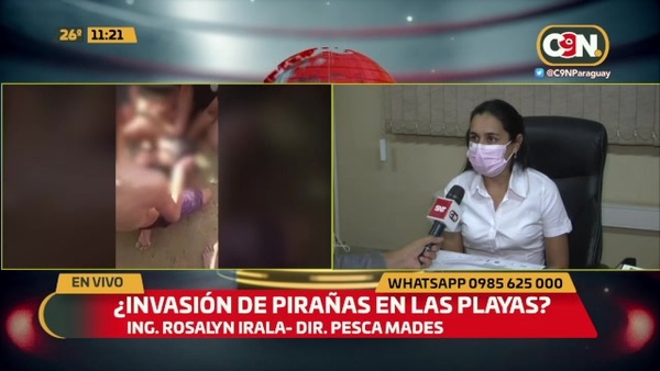 ¿Invasión de pirañas en las playas? - C9N