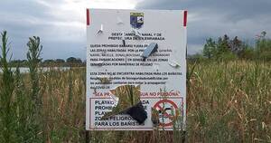 La Nación / Reportan varios ataques de pirañas contra bañistas y en ahogados