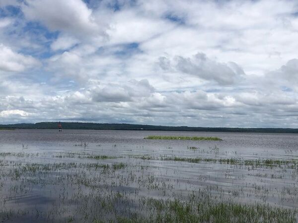Lago Ypacaraí: Reportan reducción de niveles de coliformes - ADN Digital