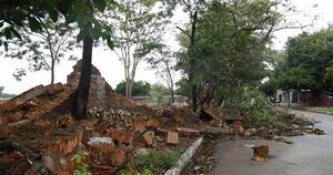 La Nación / Temporal derribó árboles en zona de Ñu Guasu