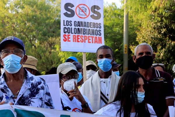 Ganaderos colombianos protestan por la importación de leche en polvo de EE.UU. - MarketData