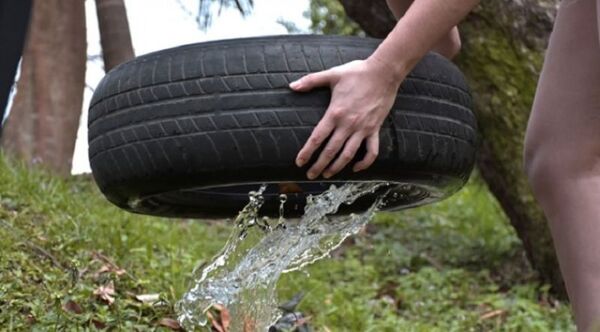Se deben eliminar criaderos de mosquitos luego de cada lluvia