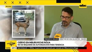 MADES: “No se requiere de autorización para tenencia de cuervos” - A La Gran 7-30 - ABC Color