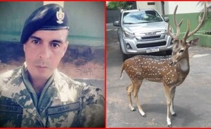 Militar muere tras ataque de venado en Mburuvicha Róga