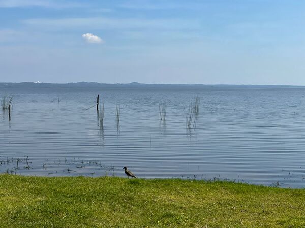 Aguas del lago Ypacaraí registran una reducción de contaminación, según informes