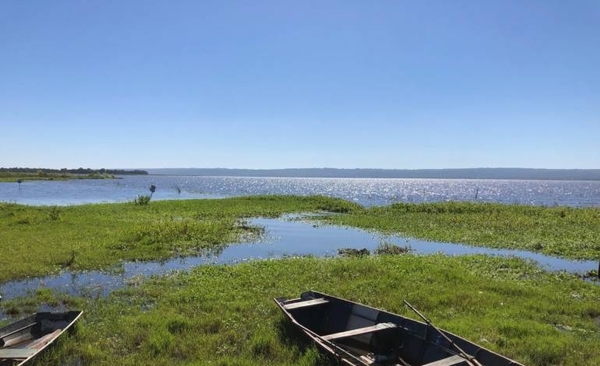Diario HOY | Lago Ypacaraí: niveles de coliformes se reducen pero aún no son óptimos