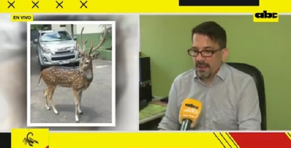 Desde el Mades alegan que no hay regulación para tenencia de animales exóticos