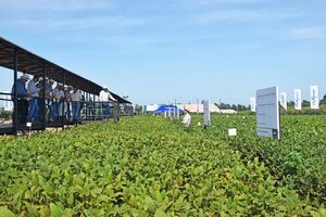 Syngenta amplía su porfolio de productos para la presente campaña sojera