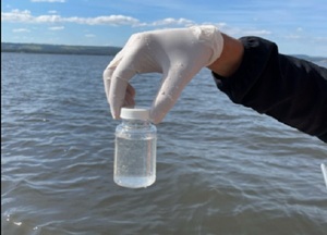 Registran disminución de coliformes fecales en el lago Ypacaraí