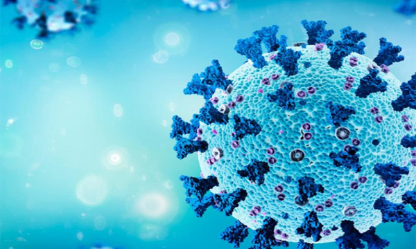Francia identifica una nueva variante del coronavirus denominada IHU - OviedoPress