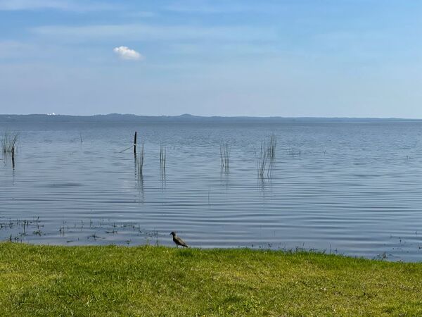 Lago Ypacaraí: niveles de coliformes se reducen por segunda semana consecutiva