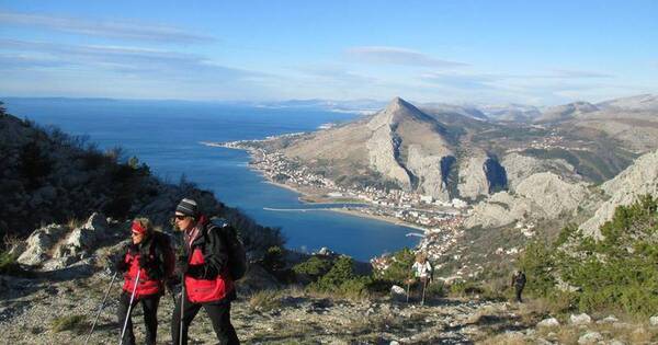 La Nación / Un can salvó la vida de un excursionista en las frías montañas de Croacia