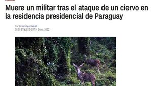 Medios del mundo se hacen eco del ataque del ciervo a militar