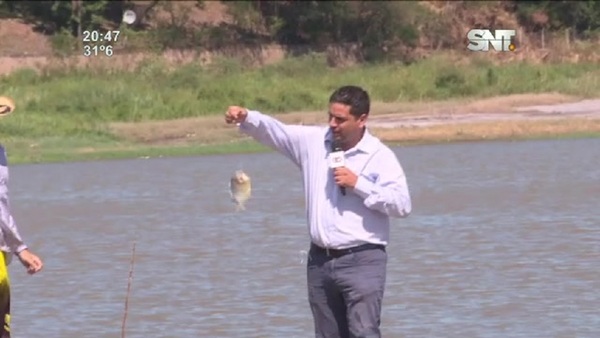 Puerto Pabla: Pirañas en el Río Paraguay - SNT