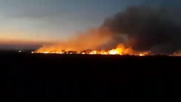 Incendio forestal en Cordillera crece y bomberos piden apoyo