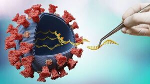 EEUU registra más de un millón de casos de coronavirus en un día - ADN Digital