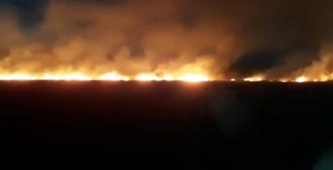 Diario HOY | Incendio forestal en Itacurubí consumió 70 hectáreas