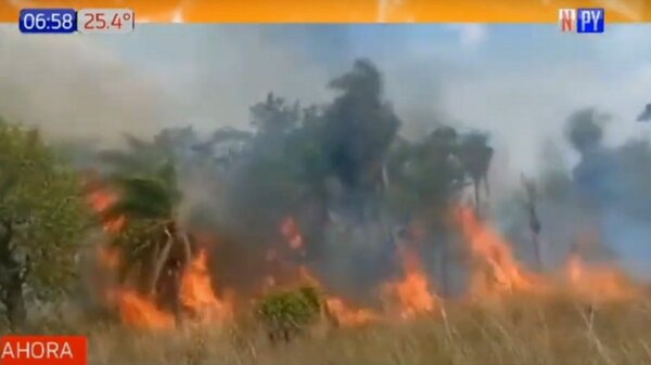 Controlan incendio forestal en Itacurubí de la Cordillera | Noticias Paraguay