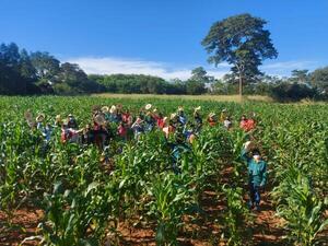 Modernización y desarrollo agrícola, ejes de trabajo para fortalecer la producción de campesinos e indígenas - .::Agencia IP::.