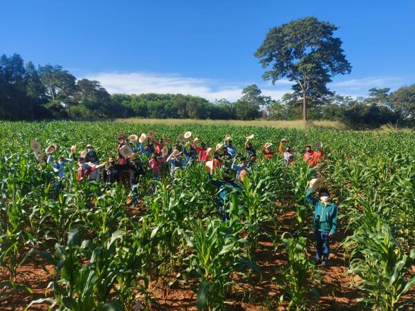 Modernización y desarrollo agrícola, ejes de trabajo para fortalecer la producción de campesinos e indígenas - .::Agencia IP::.