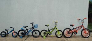 Reyes Magos: ¿cómo escoger la bici perfecta? - Nacionales - ABC Color