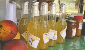Festival del mango en Areguá arranca el sábado y podrá ser visitado durante todo enero - .::Agencia IP::.