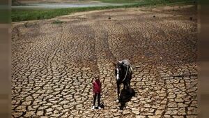 Gobierno lanza medidas de apoyo a productores afectados por la sequía