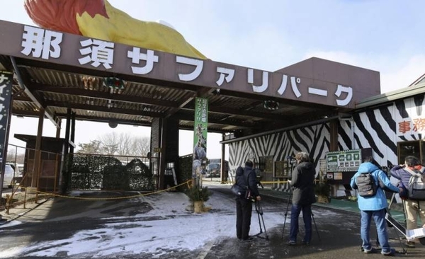 Diario HOY | Un tigre arranca la mano de una cuidadora en un parque de Japón